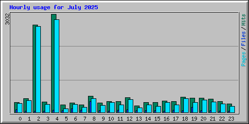 Hourly usage for July 2025