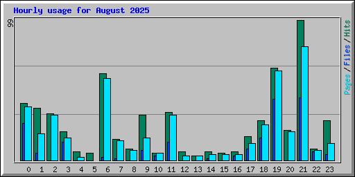 Hourly usage for August 2025